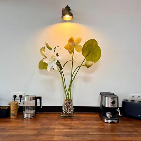 The * 플라야블랑카